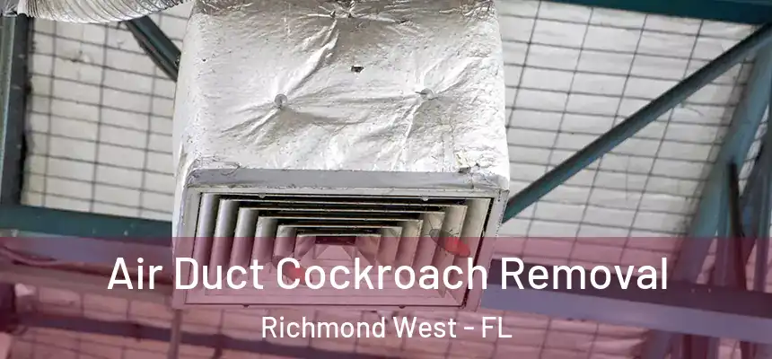 Air Duct Cockroach Removal Richmond West - FL