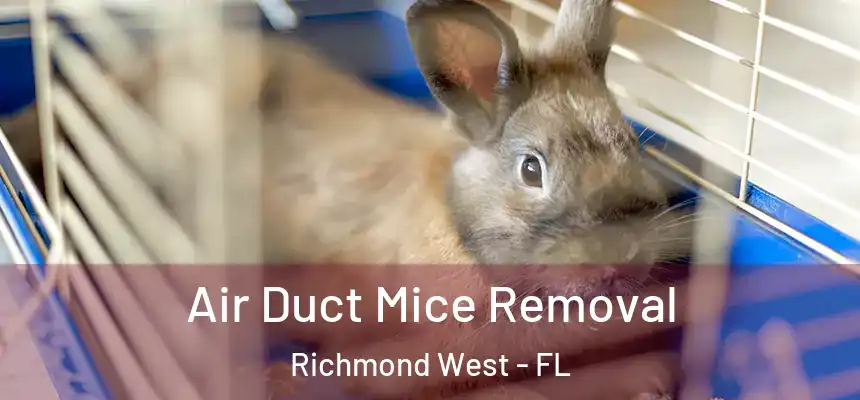 Air Duct Mice Removal Richmond West - FL