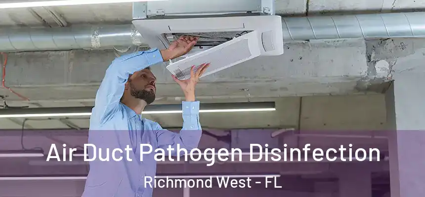 Air Duct Pathogen Disinfection Richmond West - FL