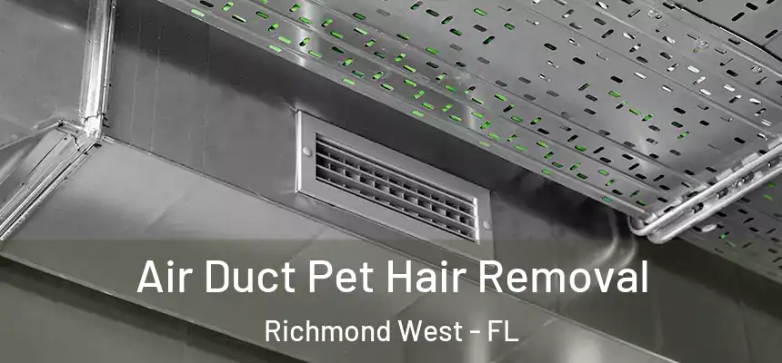 Air Duct Pet Hair Removal Richmond West - FL