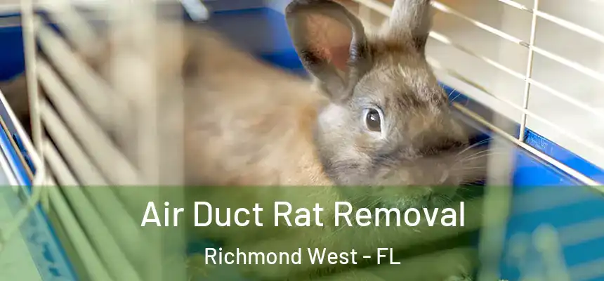 Air Duct Rat Removal Richmond West - FL