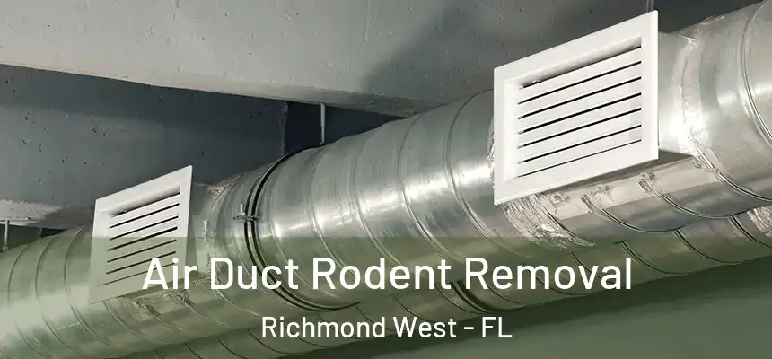 Air Duct Rodent Removal Richmond West - FL