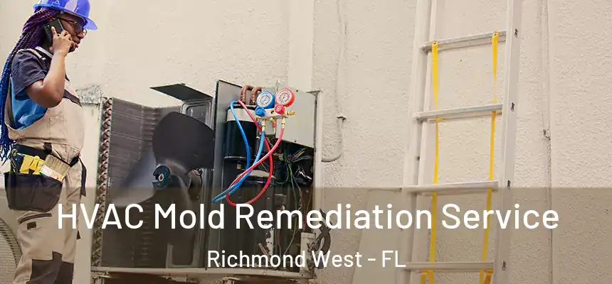 HVAC Mold Remediation Service Richmond West - FL