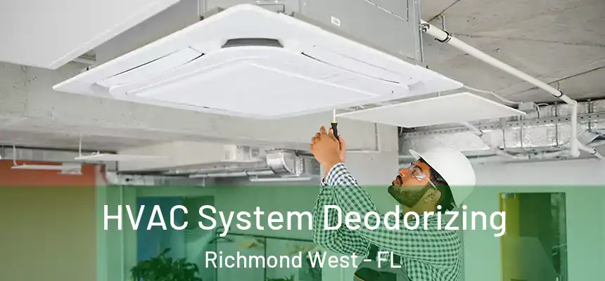 HVAC System Deodorizing Richmond West - FL