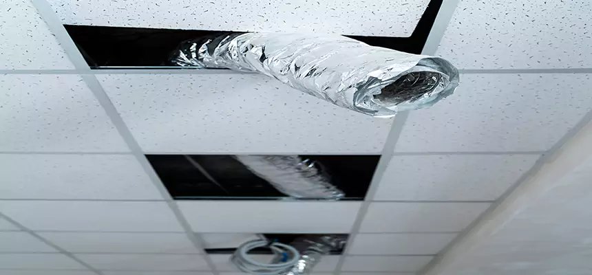 Affordable HVAC Sanitizing After Pest Removal in Richmond West