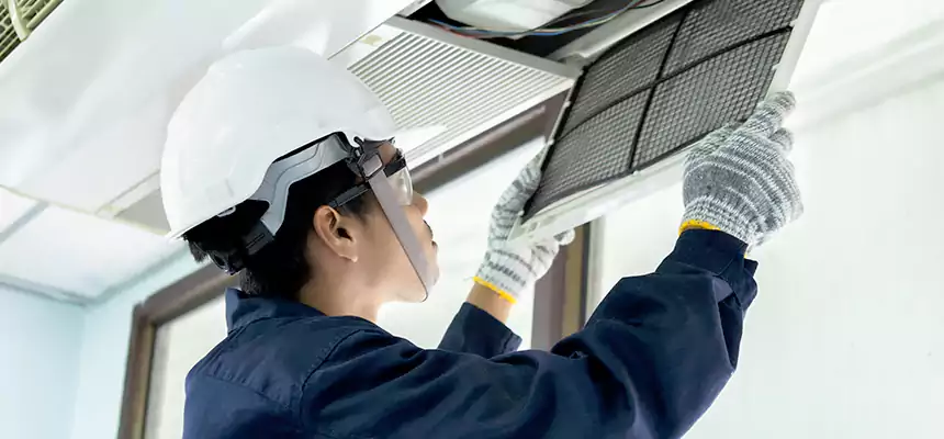 Our Mold & Mildew Removal from Air Ducts Services in Richmond West, FL