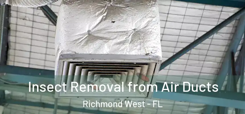 Insect Removal from Air Ducts Richmond West - FL