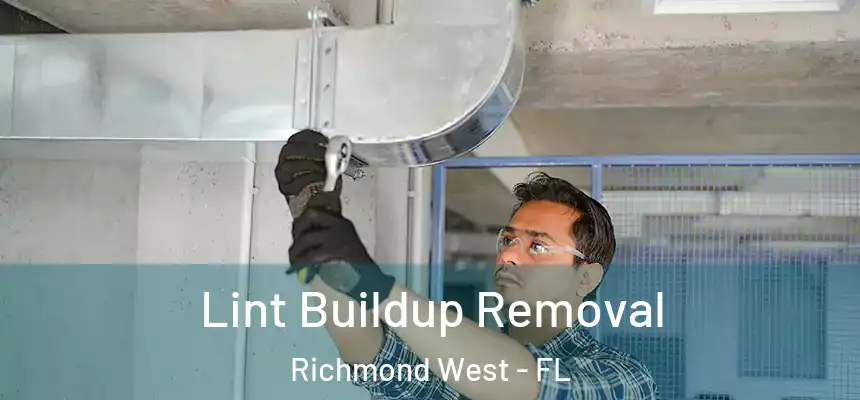Lint Buildup Removal Richmond West - FL