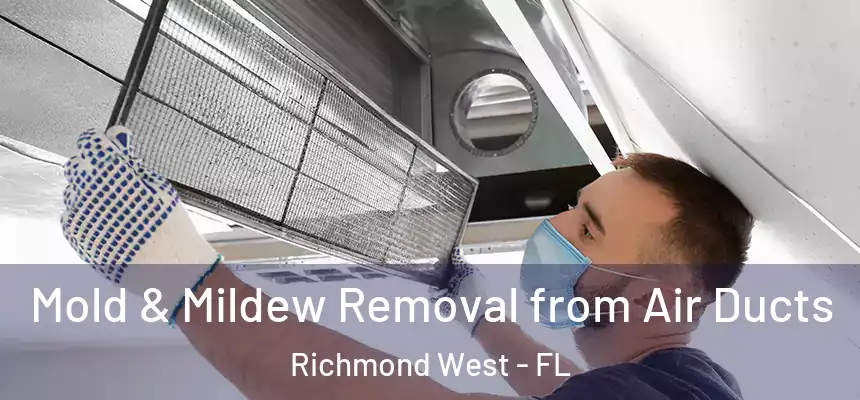 Mold & Mildew Removal from Air Ducts Richmond West - FL