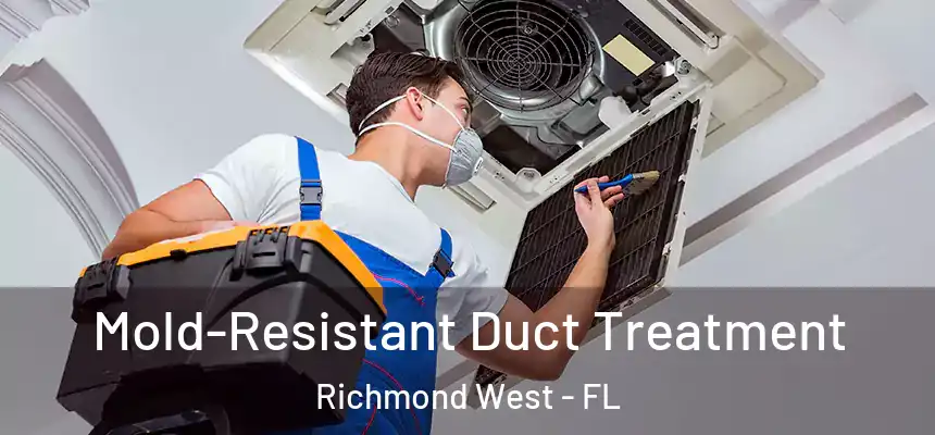 Mold-Resistant Duct Treatment Richmond West - FL