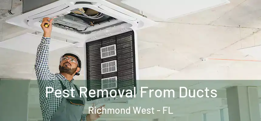 Pest Removal From Ducts Richmond West - FL