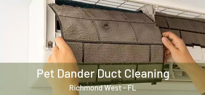 Pet Dander Duct Cleaning Richmond West - FL