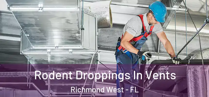 Rodent Droppings In Vents Richmond West - FL