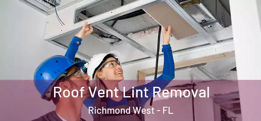 Roof Vent Lint Removal Richmond West - FL