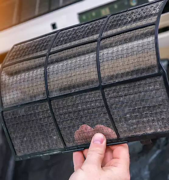 About Pet Dander Duct Cleaning in Richmond West, FL